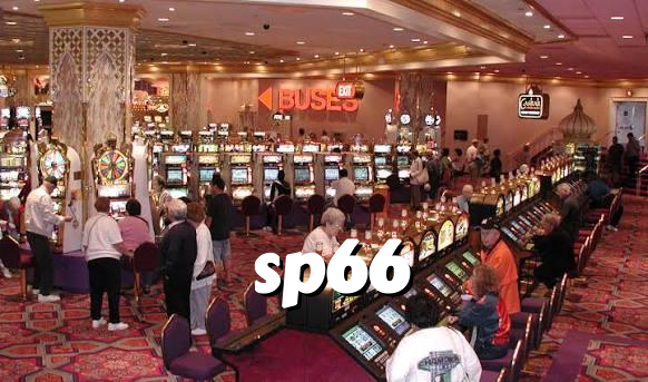 sp66 Live Dealer Tables at Your Fingertips